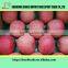 Natural extract fruit ,80% colored fuji apple