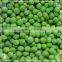 frozen green pea for sale