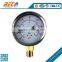 stainless steel water and fuel pressure test gauge