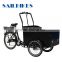 electric bicycle cargo for family