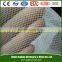 Black Color Fiberglass Inscet Screen
