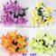 New Most Popular Names of Lily Used for Decoration