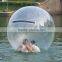Brilliant Quality Floating Inflatable Water Rolling Ball