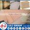 18mm bintangor plywood in sale