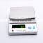 High Precision Spring Scale Weighing Balance