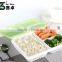3 Compartment Disposable Lunch Box With Green Lid
