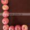 2015 New Crop Chinese Apple Fuji Apple Fresh Apple