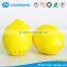 High Effective Black Coconut Shell Charcoal Refrigerator Deodorizer