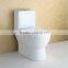 Modern Design S Trap Ceramic Water Closet