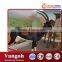 VGDW33--silicon rubber animal life size garden statues