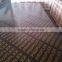 film faced plywood/construction plywood/concrete formwork plywood
