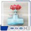 High Quality Competitive stainless steel 1/2 inch globe valve from factory