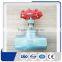 Hot sales straight globe valve from factory