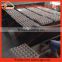 Hot selling paper egg tray machine