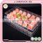 Wholesale disposable plastic rectangular clear blister tray for packing fruits salad