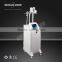 2015 Cryolipolysis Fat Freeze Machine / Cryo Local Fat Removal Liposuction Machine / Vacuum Cavitation Machine LM-S600C Body Shaping
