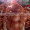 High quality fresh shallot/rose onion