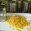 Canned Sweet Corn Kernel From China