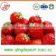 For sale chinese High quality whole Fresh Strawberry