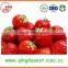 25-35mm A13 Chinese Best quality Whole Fresh Strawberry