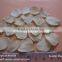 Popular Natural Garlic Flakes Without Root Best Price for Garlic