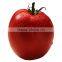 chinese imports wholesale packing bag 1000seeds/bag vegetable seeds tomato seeds in greenhouse