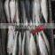 Fresh sardine for bait on sale