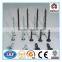 3.5 x 19mm hardened chip black drywall screw for industry
