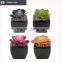 Wholesale potted succulent wedding decor mini succulent artificial lavender