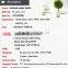Cheap wholesale mini artificial plants
