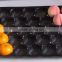 29*39cm, 29*49cm, 39*59cm Any Color Available Thermoformed Plastic Fruit Tray for Supermarket&Transportation