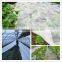 white pp fabric for agriculture cover