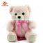 China ICTI stuffed toys manufacturer custom names cute 20cm pink and brown small plush teddy bear with ribbon