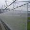 Agriculture greenhouse anti aphid insect protection net for tunnel farming