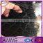 Black Color Bird Netting HDPE For Fruit Trees