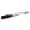 Professional 67 layer kitchen knives Damascus steel knife