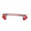 22inch OEM Design Canadian Maple Wood Mini Cruiser Fish Skateboard