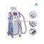 2021 Sales fat freezing cryolipolysis machine weight loss cryotherapy fat freezing device
