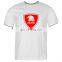 100% Cotton Crew Neck T-Shirts For Men Custom Printed Puff Printing 3D Printing Graphic Trendy Street Wear T-shirt