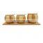 Bamboo Salt and Pepper Box with Spoons and Tray Wooden Condiment Container Seasoning Box Set for Home Kitchen Coffee Bar