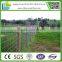 Hot Dipped Galvanized Hinge joint Field Fences