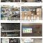 Capsule Blister Packing Machine (DPP-250Z)