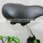 pedal electric cargo bike /cargo tricycle