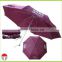 China Umbrella Advertising Light Weight Aluminum Shaft Folded Umbrella
