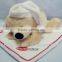 Lovely Stuffed plush Sleeping Dog with sleeping Hat