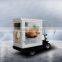 Electric Advertising cargo tricycle/trike for Ice Cream, Pizza, Bread, drinks,foods promotion sales