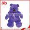 Manufacturer of Youth Olympic Games Mascot, custom cute light up teddy bear plush toy