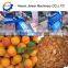 Best quality almond seed remover/apricot seed getting machine/almond shell separating machine