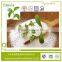 stevia in bulk