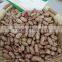 Chinese Light Speckled Kidney beans Long Shape on promotion